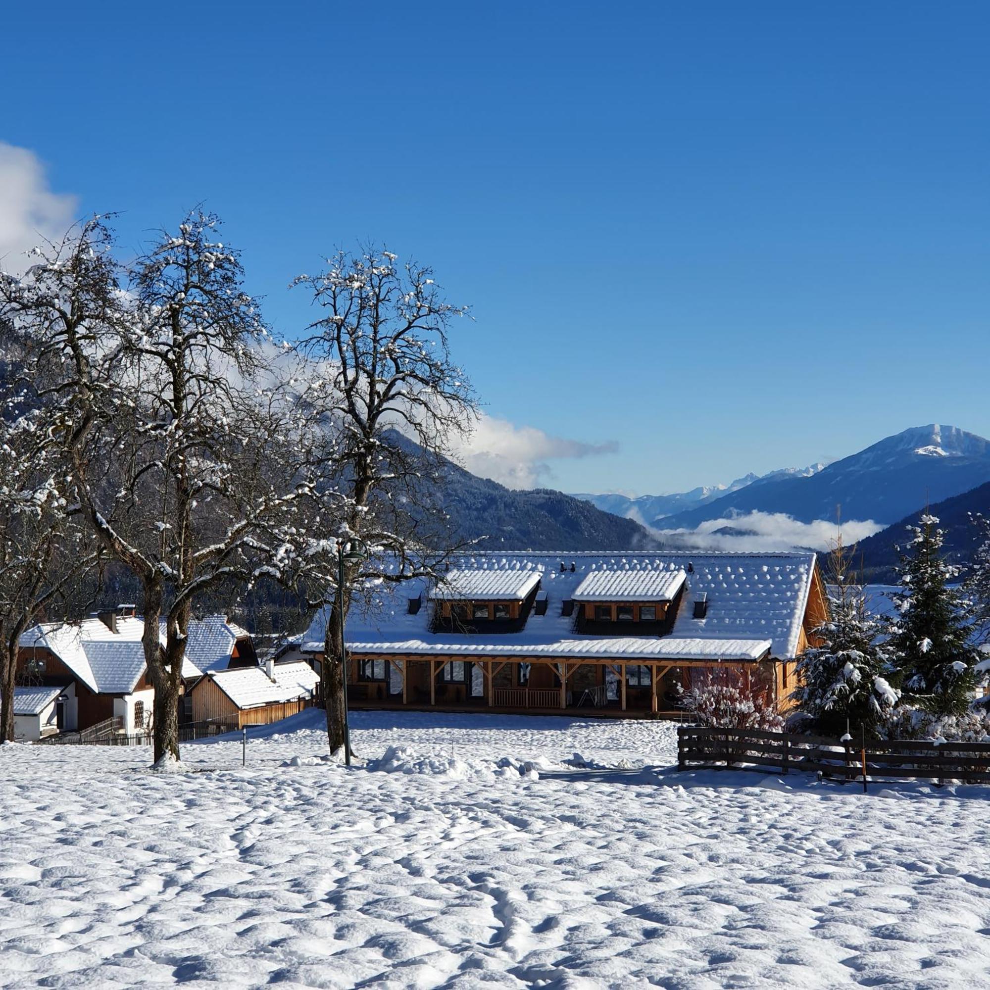 Appartement Nest Weißbriach